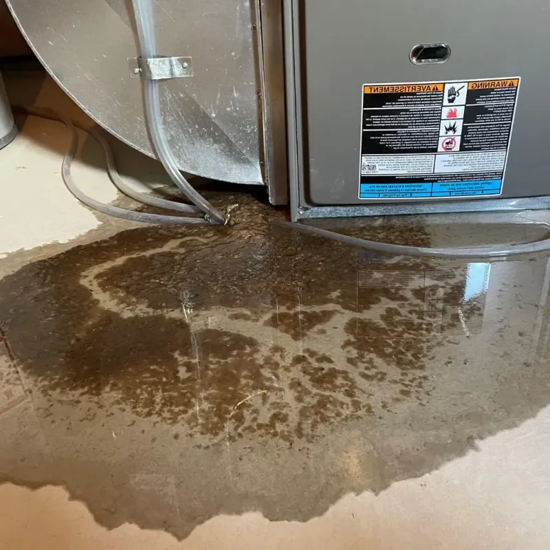 Pipe Burst and Leak Restoration in Hyden, KY