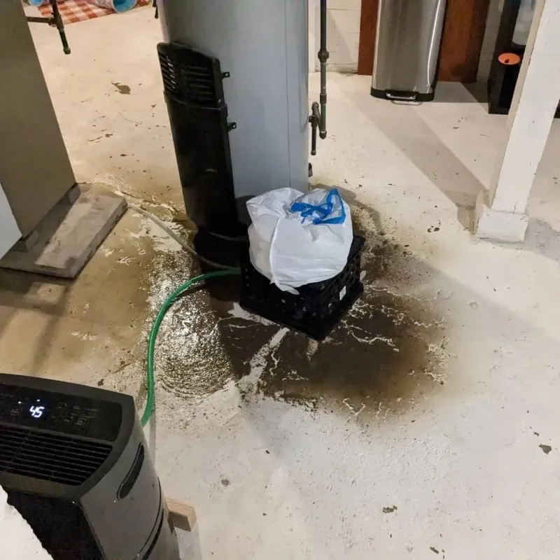 Sewage Backup Cleanup Service in Hyden, KY